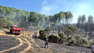 Tekirdağ'da Buğday Tarlasında Çıkan Yangın Kontrol Altına Alındı