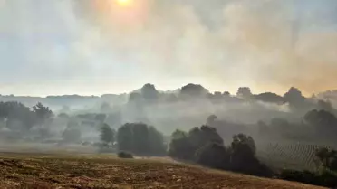 Balıkesir'de Arazi Yangını Kontrol Altına Alındı