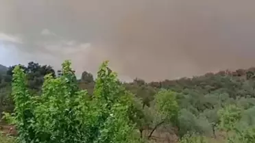 Balıkesir'de orman yangını! Bir mahalle boşaltıldı