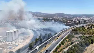 Bornova'da Otoyolda Yangın Paniği