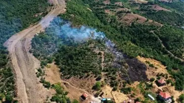 Zonguldak'ta Orman Yangını
