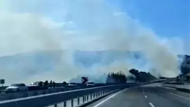 Dursunbey'de Orman Yangını Kontrol Altında
