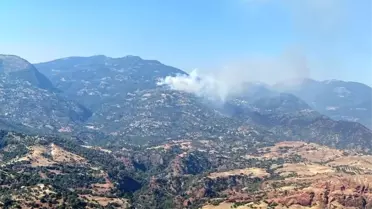 Aydın'da Orman Yangını Söndürme Çalışmaları Devam Ediyor