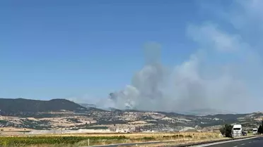 Kahramanmaraş'ta İki Orman Yangını
