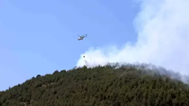 Kahramanmaraş'ta Orman Yangınları