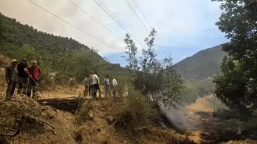 Bilecik'te Yangın Kontrol Altına Alındı