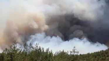 Taraklı'da Orman Yangınına Mücadele Devam Ediyor