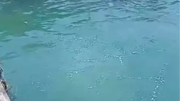 Denizde Boğulan Genç Hayatını Kaybetti