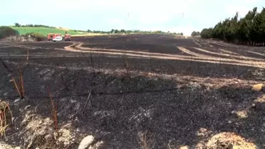 Silivri'de Buğday Tarlasında Yangın