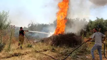 Manisa'da Orman Yangını: 4 Yerleşim Yeri Tahliye Edildi