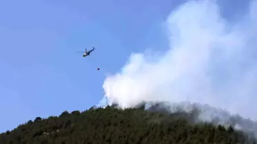 Kahramanmaraş'ta Orman Yangını