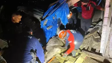 Artvin'de Ahır Çöktü, 33 Hayvan Kurtarıldı