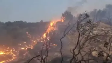 Bozdoğan'daki Yangın 9 Saatte Kontrol Altına Alındı