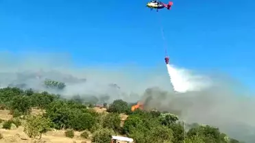 Aydın'da Makilik Alanda Yangın Kontrol Altına Alındı