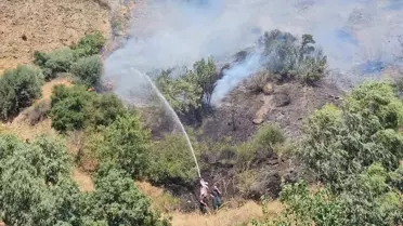 Nazilli'de Çıkan Yangınlar Kontrol Altına Alındı