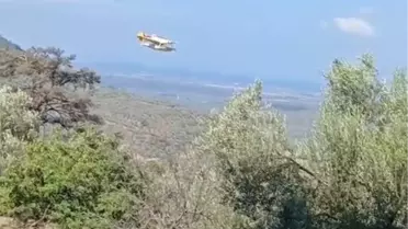 Havran'da Orman Yangını 24 Saatte Kontrol Altına Alındı