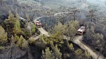 Balıkesir'de Orman Yangını Kontrol Altına Alındı