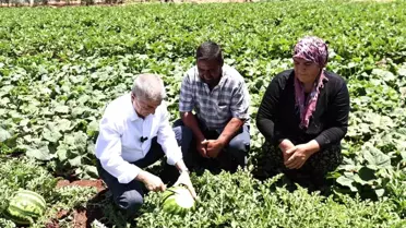 Şahinbey Belediyesi'nden Çiftçilere Fide Desteği