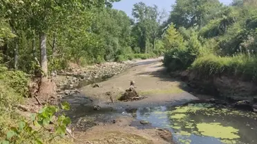 Biga'da Kuraklık Nedeniyle Balık Ölümleri