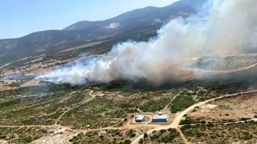 Didim'de Makilik Alanda Yangın Çıktı