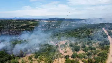 Edirne'de Orman Yangını Kontrol Altına Alındı