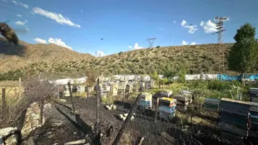Oltu'da Arı Kovanları Yangında Yandı