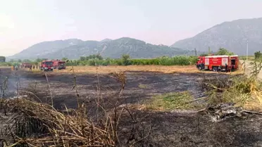 Muğla'nın Ortaca İlçesinde Yangın Kontrol Altına Alındı