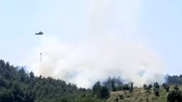 Kadirli'de Orman Yangını Kontrol Altına Alındı