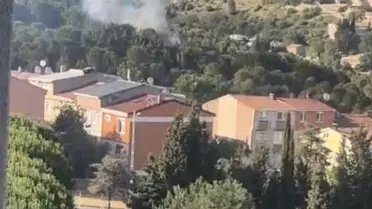Pendik'te Aydos Ormanı'ndaki Yangın Kontrol Altına Alındı