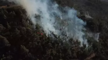 Taraklı'daki Yangına Hızlı Müdahale