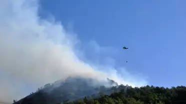 Antalya'da Orman Yangını: 25 Hektar Zarar