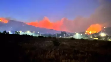 Hatay'da Orman Yangını: 1800 Kişi Tahliye Edildi
