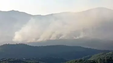 Seferihisar'daki Orman Yangınına Hava Müdahalesi Başladı