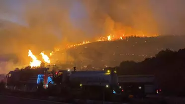 İzmir'deki Yangın Kuşadası Yoluna İndi