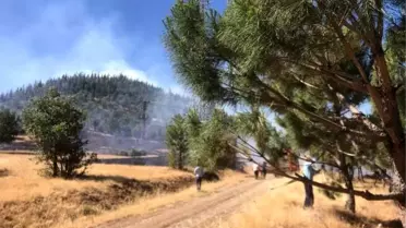 Kahramanmaraş'ta Orman Yangını Kontrol Altında