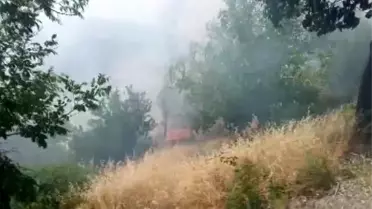 Kahramanmaraş'ta Orman Yangını Kontrol Altında