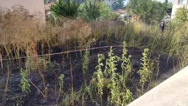 Muratlı'da Boş Arsada Yangın Panik Yarattı