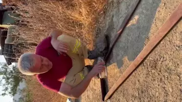 Kuş Yuvasi Kurtarıldı
