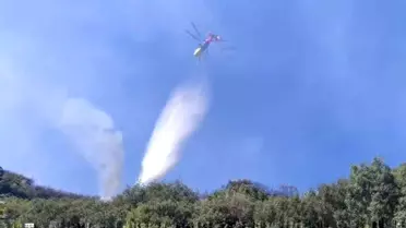 Aydın'da Orman Yangını Kontrol Altına Alındı