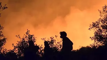 Bilecik'teki Yangında AKUT Ekipleri Görev Başında