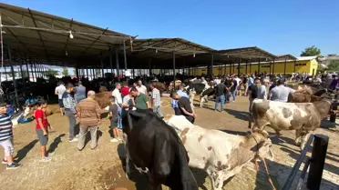 Aydın'da Hayvan Pazarları Kapatıldı