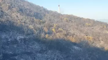 Sultanhisar'da Orman Yangını Kontrol Altına Alındı