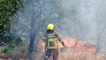 Balıkesir'de Yangınlara Hızlı Müdahale: 971 Yangın Söndürüldü