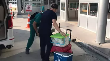 Organ Bağışı Üç Hastaya Umut Oldu