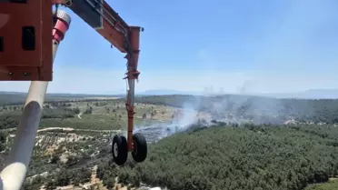 İzmir'de Orman Yangınına Müdahale Sürüyor