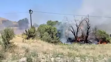Keban'da Orman Yangını Çıktı