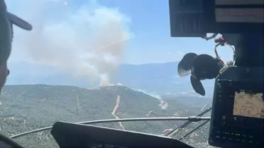 Saruhan'da Orman Yangını