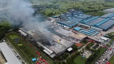 Tayland'da kağıt fabrikasında yangın: 8 ölü, 26 yaralı