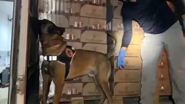 TEM Otoyolu'nda 9 kg kokain ele geçirildi