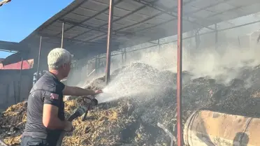 Kozan'da Ahır Yangını: 5 İnek Hayatını Kaybetti